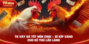 ĐÁ GÀ 98WIN - VO66