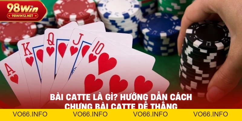Bài Catte Là Gì? Hướng Dẫn Cách Chưng Bài Catte Dễ Thắng - VO66