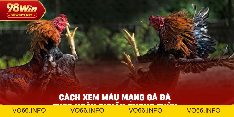 Cách Xem Màu Mạng Gà Đá Theo Ngày Chuẩn Phong Thủy - VO66