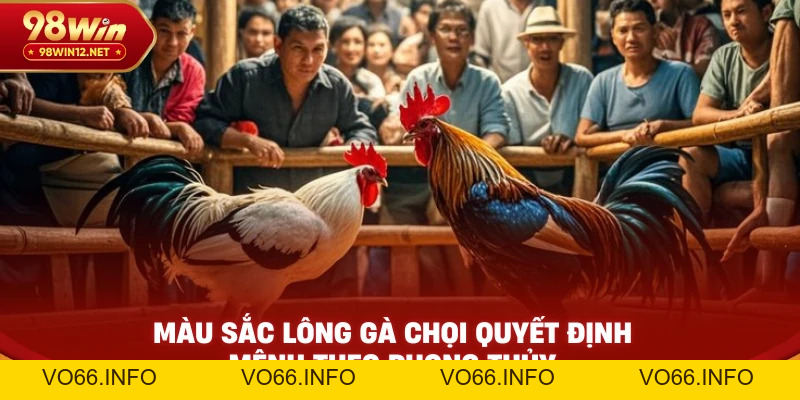 Cách Xem Màu Mạng Gà Đá Theo Ngày Chuẩn Phong Thủy - VO66