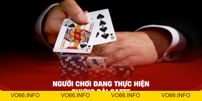 Bài Catte Là Gì? Hướng Dẫn Cách Chưng Bài Catte Dễ Thắng - VO66