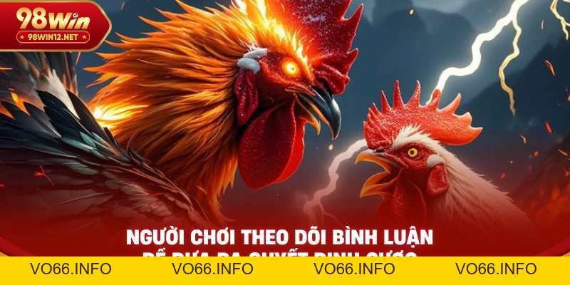 Trực Tiếp Đá Gà Thomo Có Bình Luận – Chơi Sát Sườn Như Tại Trường Gà - VO66