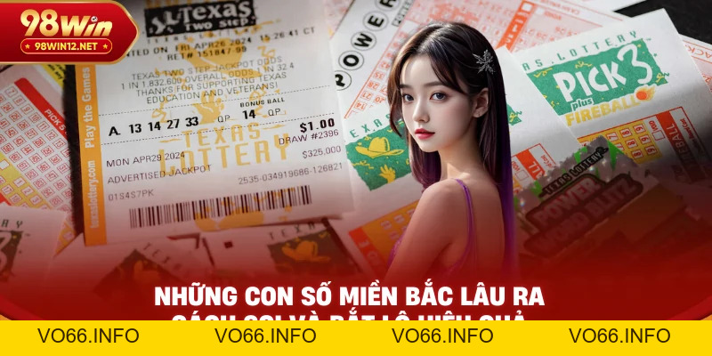 Những Con Số Miền Bắc Lâu Ra – Cách Soi Và Bắt Lô Hiệu Quả - VO66