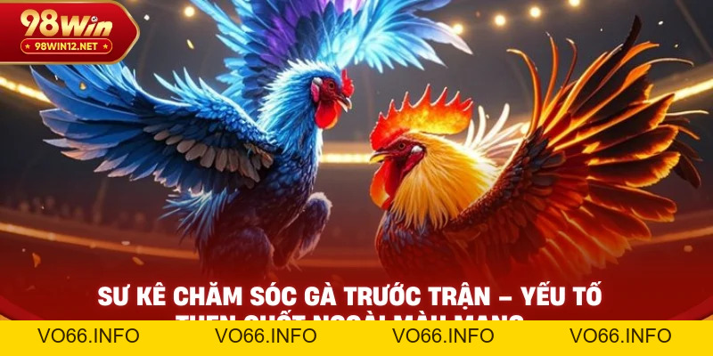 Cách Xem Màu Mạng Gà Đá Theo Ngày Chuẩn Phong Thủy - VO66