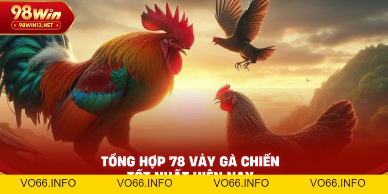78 Vảy Gà Tốt Nên Chọi – Bí Kíp Vàng Cho Kê Thủ Lão Làng - VO66