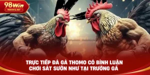 ĐÁ GÀ 98WIN - VO66