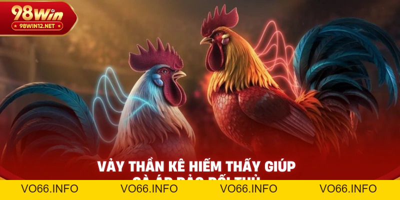 78 Vảy Gà Tốt Nên Chọi – Bí Kíp Vàng Cho Kê Thủ Lão Làng - VO66